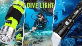 7 BEST Dive Lights of 2024 You Need to Know