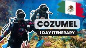 Cozumel México Day Trip | Chankanab Park Scuba Diving