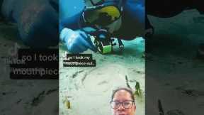 This video got 34 million views #scubaaddict #underwater #diving #scubadiving