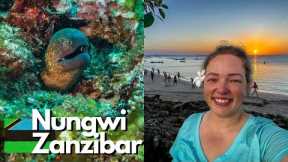 Scuba Diving In Nungwi Zanzibar for a WEEK! Tips/tricks for Diving in Tanzania