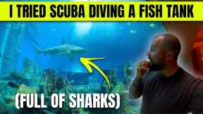 I TRIED SCUBA DIVING IN AN AQUARIUM FULL OF SHARKS!