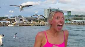 CRUISE SHIP DISASTER!  🦅Funniest Travel & Vacation Fails