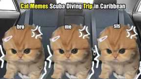 Cat Memes Scuba Diving Trip in Caribbean