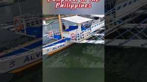 BEST PUMPBOAT FOR ISLAND HOPPING #pumpboat #islandhopping #philippines #boat #travel