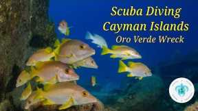 Scuba Diving The Grand Cayman Oro Verde Wreck