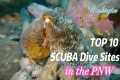 Top #10 Best Scuba Dive Sites In The