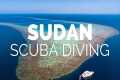 Scuba Diving Port Sudan - Pro Dive