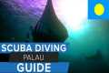 Scuba Diving Palau Travel Guide w/