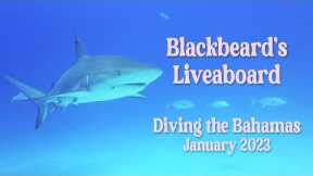 Scuba Diving the Bahamas on Blackbeard's Liveaboard, The Sea Explorer