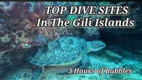 Best Dive Sites in the Gili Islands | Scuba Diving Gili Trawangan, Gili Meno & Gili Air