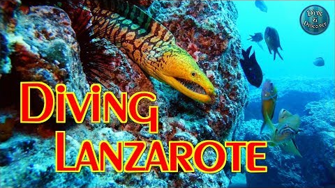 Scuba Diving LANZAROTE | Playa Blanca - Canary Islands - Spain | GoPro 1080p 60FPS