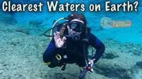 Discover Florida's Ginnie Springs - Cavern Scuba Diving in Ginnie Ballroom!