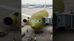 Durian International Flight! Welcome Aboard! ✈️  #monsty #plane #flight #funny