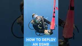 How To Deploy A Surface Marker Bouy | Scuba Diving Skills