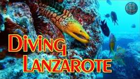 Scuba Diving LANZAROTE | Playa Blanca - Canary Islands - Spain | GoPro 1080p 60FPS