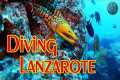 Scuba Diving LANZAROTE | Playa Blanca 