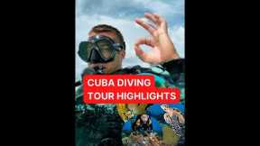 Explore Cuban Underwater World | Scuba Diving | Diving Tours