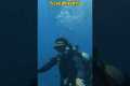 Scuba diving in Bali || Nusa penida