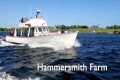 Gansett Cruises - Harbor Tours and