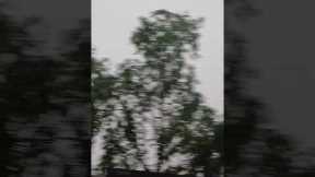 17 July 2025kya sin hai ye nahi dekha to kuch nahi dekha #youtubeshorts #youtube #youtubevid #art