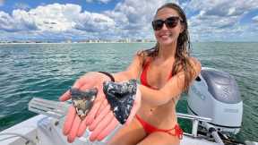 I Found Megalodon Teeth While Scuba Diving! (Anywhere from 4 to 20 Million Years Old!)
