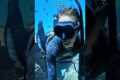Is scuba diving better than