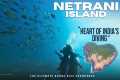 Scuba Diving in Netrani Island: A