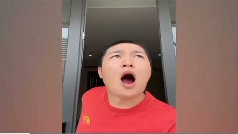 Sagawa1gou Funny Videos (FAILED TRAVEL)