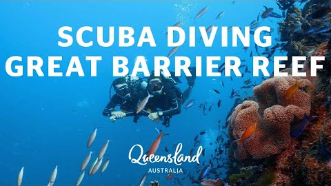 Best scuba diving on the Great Barrier Reef