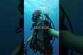 dive vlog kinda #florida #diving