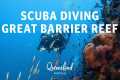 Best scuba diving on the Great
