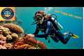🐠 Scuba Diving the Catacombs – Turks 