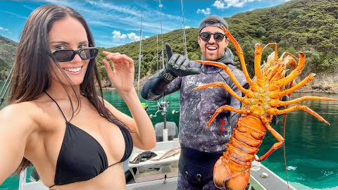 Diving for Big Crayfish in Tropical Bays - New Zealand Lifestyle Adventure 