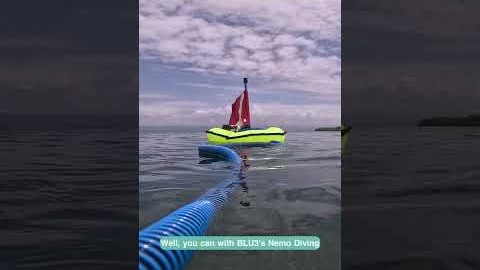 Travel-Friendly Dive System🤿