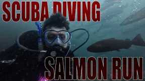 Scuba Diving in the Salmon Run