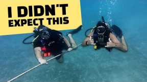 My First Time Scuba Diving 🤿