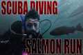 Scuba Diving in the Salmon Run