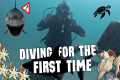 🦈 Scuba Dive with SHARKS! | From