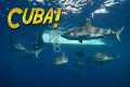 Diving the Pristine Reefs of CUBA!