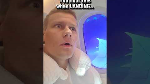 Airplane Landing Gone Wrong ✈️😂 #travel #funnyshorts #comedy