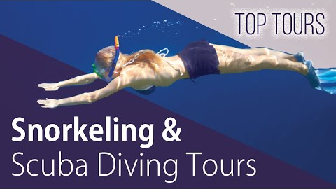 Snorkeling & Scuba Diving in Costa Rica | Marine Life & Ocean Adventures