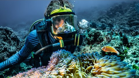 Scuba Diving In Our Own Private Paradise! (Expedition Drenched S1 Ep 52)