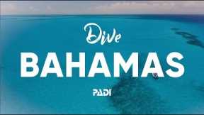 Scuba Diving in the Bahamas