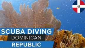 Scuba Diving in the Dominican Republic w/@GoDominicanRepublic