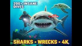 LIVE NOW: Epic Scuba Diving Adventures – Underwater Thrills, Hidden Reefs & Marine Magic!