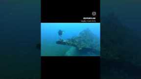 RMS Rhone diving! #scuba #diving #travel #adventure #bvidiving #boatlife