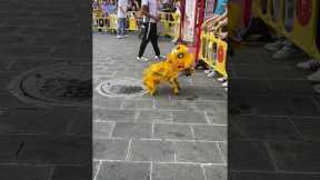 Hilarious Travel Fails You Can Relate To#travelhumor, #funnytravel, #travelmemes, #fyp, #traveltips