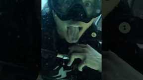 Sunday Funday! #diving #scuba #scubadiving #underwater #underwaterdiving #water #travel