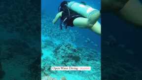 Scuba Diving in Lakshadweep