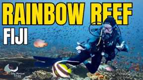 Scuba Diving RAINBOW REEF In Fiji! 🇫🇯